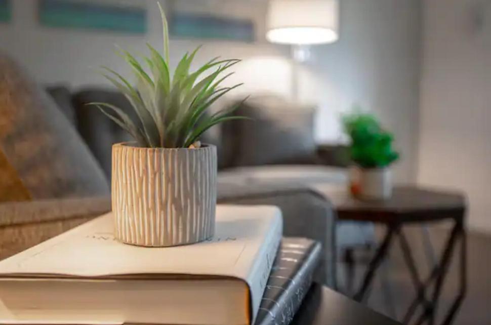 Westshore South Tampa Apt Apartment Bagian luar foto